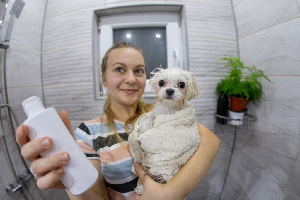 Evdeki Köpek Kokusu Nasıl Giderilir? Pratik ve Kalıcı Çözümler