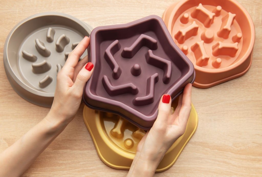 Köpekler İçin Yavaş Yeme Kabı Seçimi