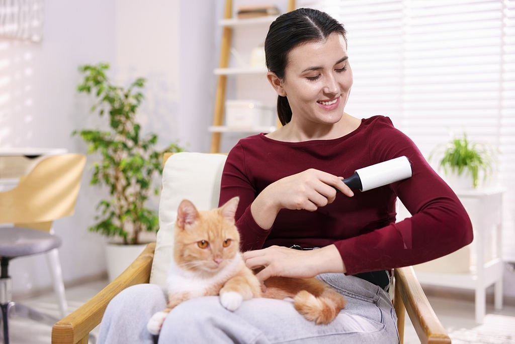 En İyi Tüy Toplayıcı Rulo Hangisi