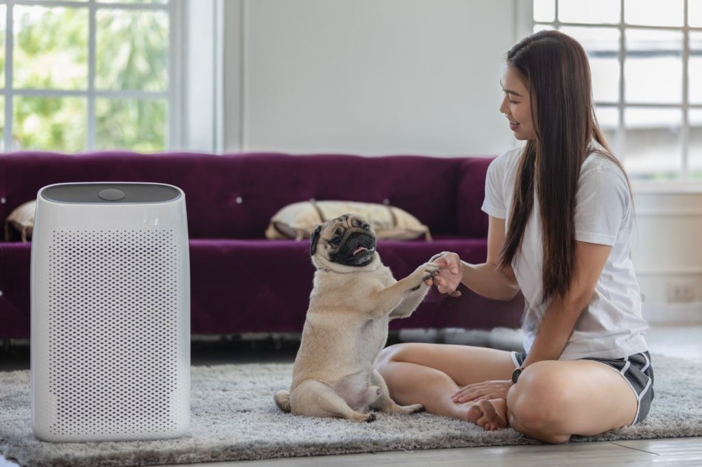 Evcil Hayvanlı Evler İçin En İyi Hava Temizleyici (Air Purifier) Seçim Rehberi