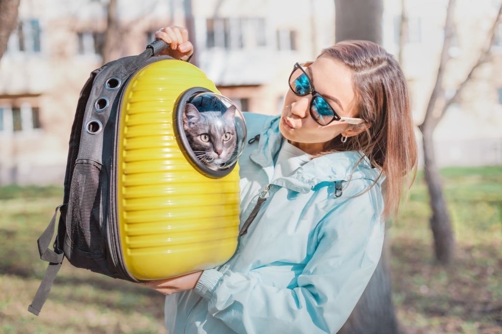 Kedi Taşıma Çantası Seçimi: Astronot Çanta mı Fileli mi?