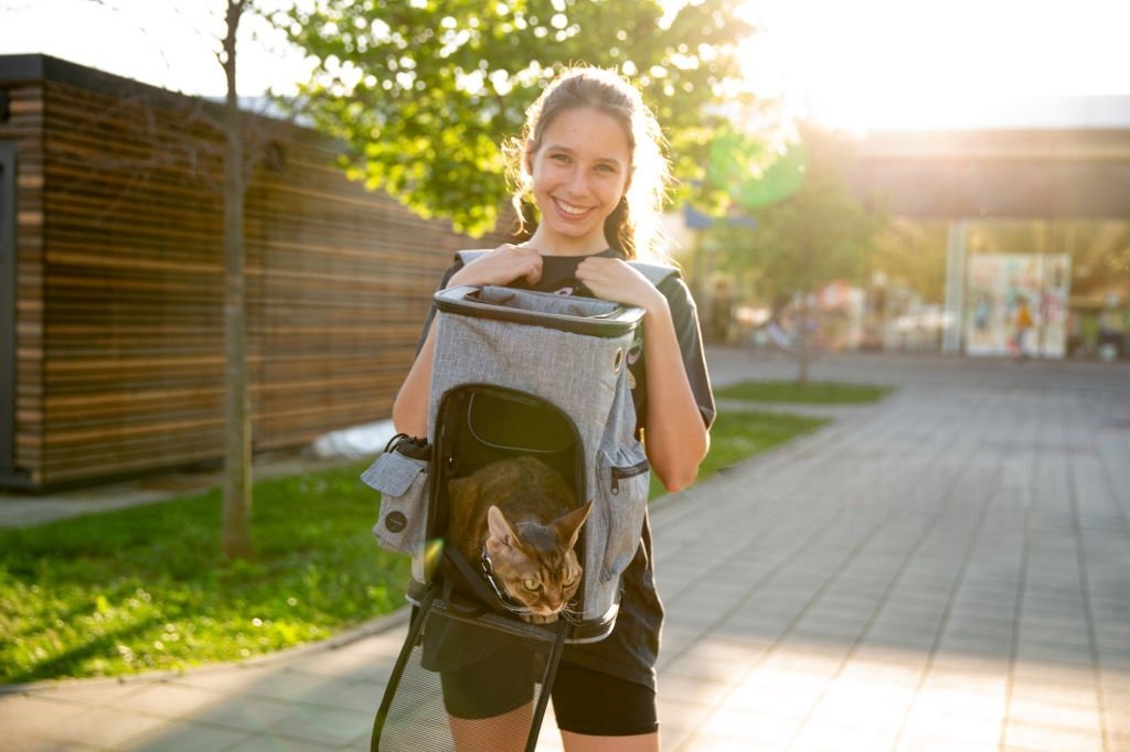 Kedi Taşıma Çantası Nasıl Seçilir?