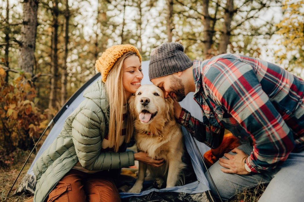 Köpekle Kampa Giderken Alınması Gereken Malzemeler