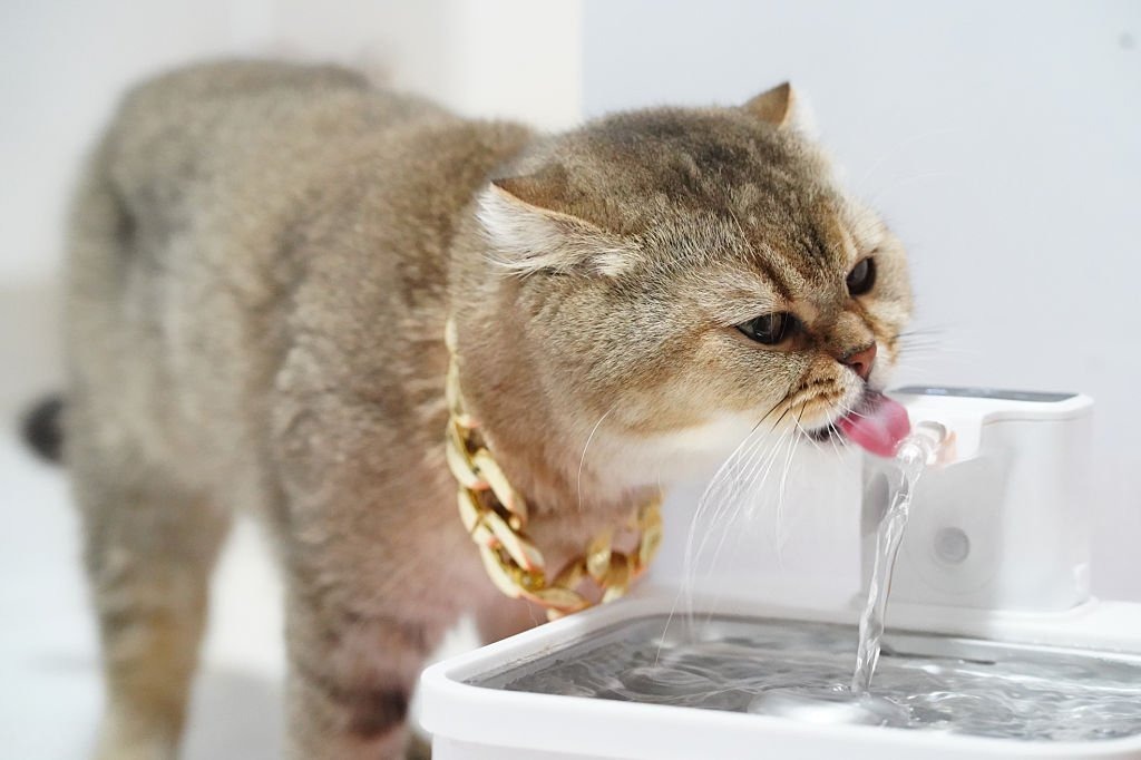 Su Pınarı Temizliği Pratik Bilgiler