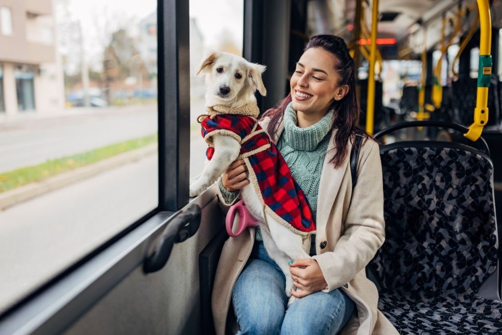 Toplu Taşımada Köpekle Seyahat Rehberi